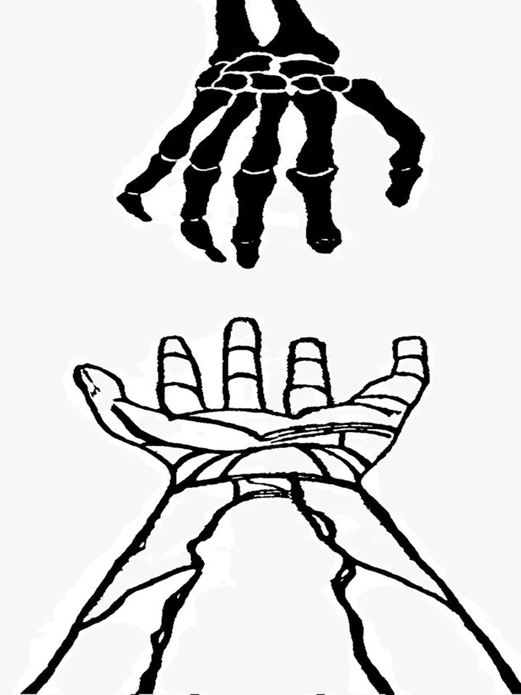 Image description